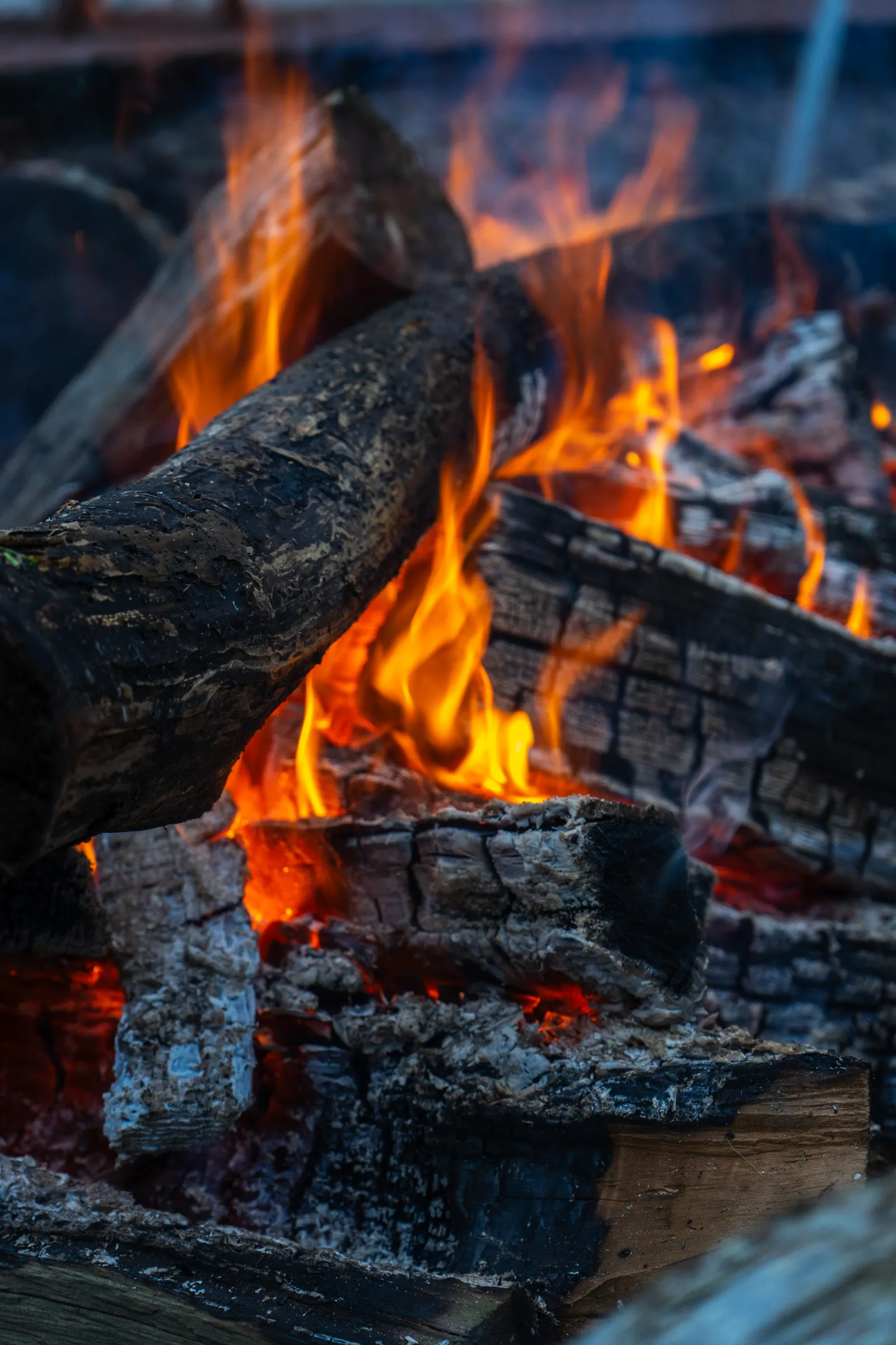 Campfire burning in a fire pit