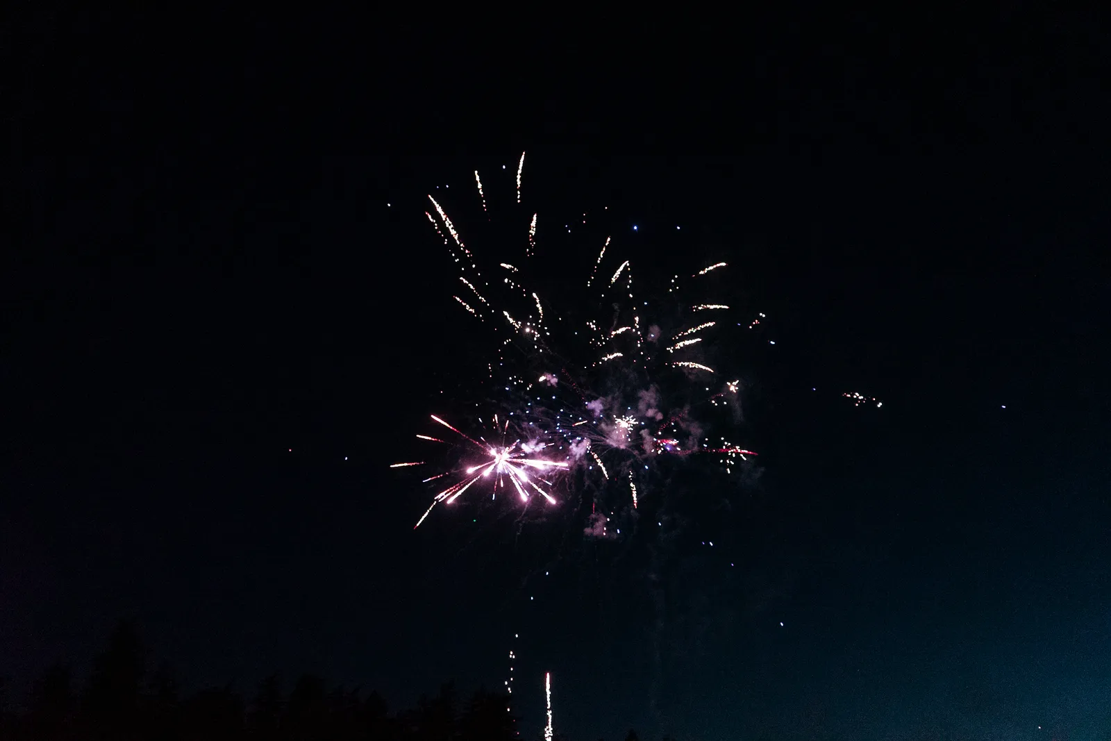 Fireworks bursting in the night sky