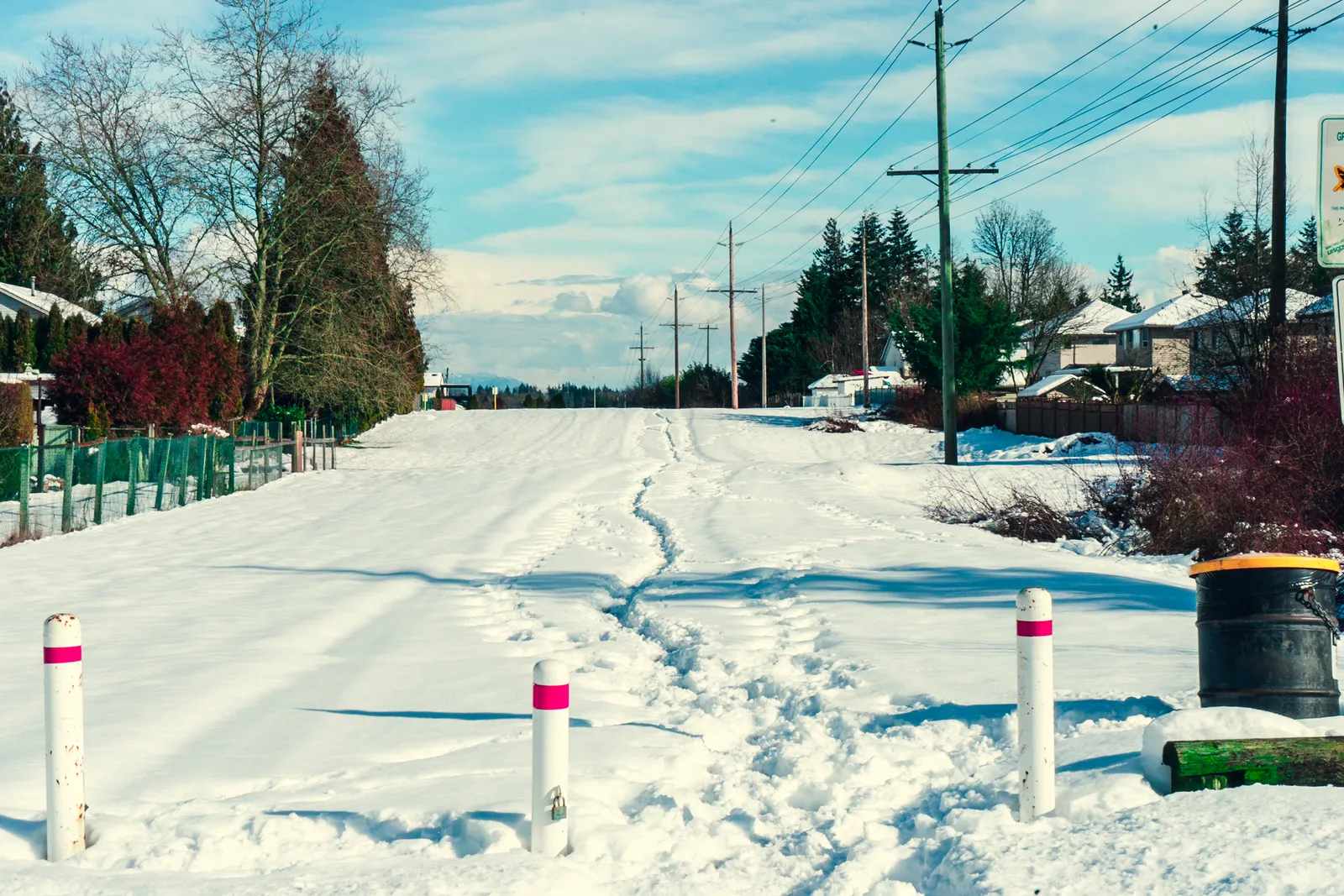 Snow-covered road lined with fence posts