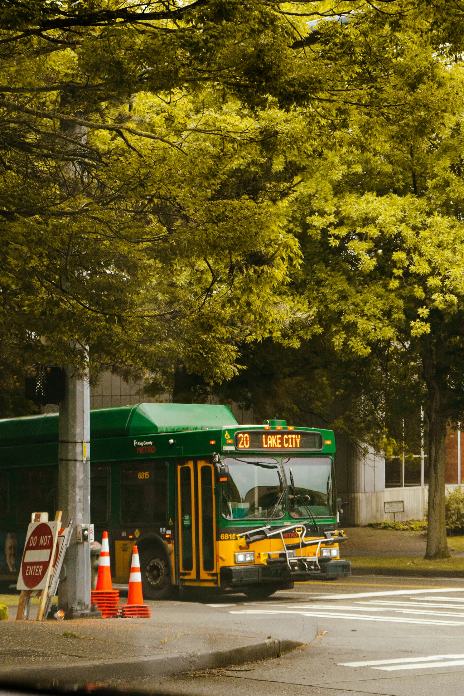 Tree-lined street with a bus stop