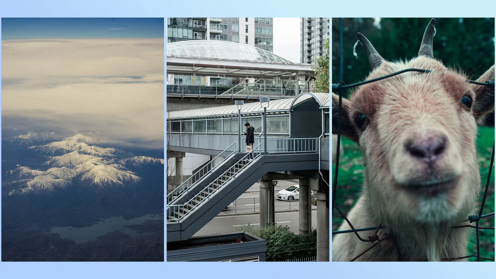 Contact sheet of clouds, a walkway and a goat